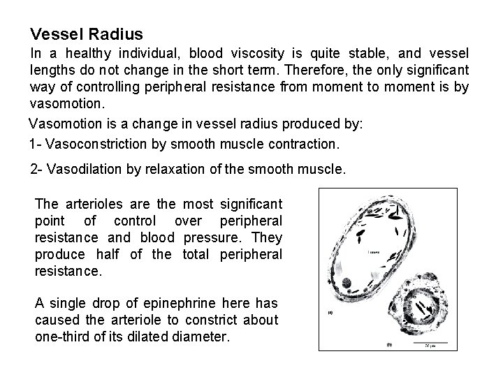 Vessel Radius In a healthy individual, blood viscosity is quite stable, and vessel lengths Vessel Radius In a healthy individual, blood viscosity is quite stable, and vessel lengths