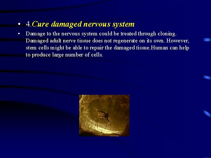  • 4. Cure damaged nervous system • Damage to the nervous system could