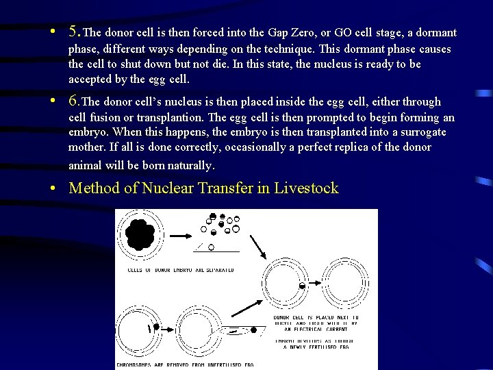  • 5. The donor cell is then forced into the Gap Zero, or