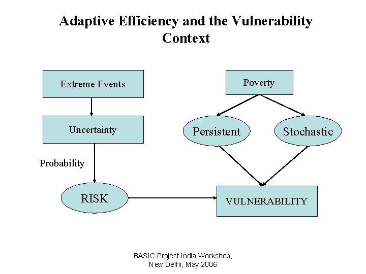 Adaptive Efficiency and the Vulnerability Context Poverty Extreme Events Uncertainty Persistent Stochastic Probability RISK