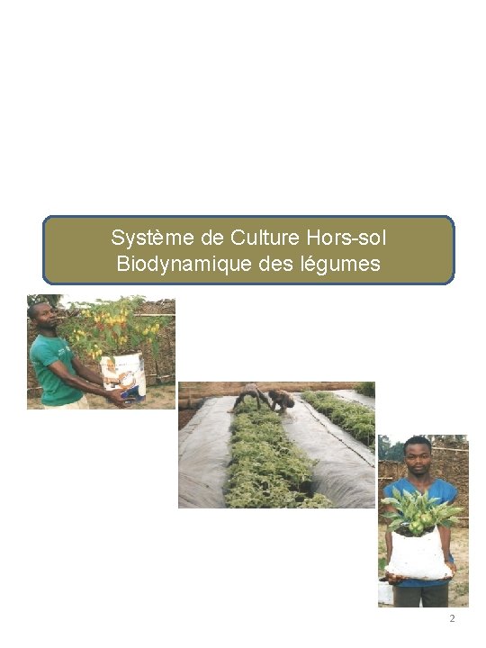 Système de Culture Hors-sol Biodynamique des légumes 2 