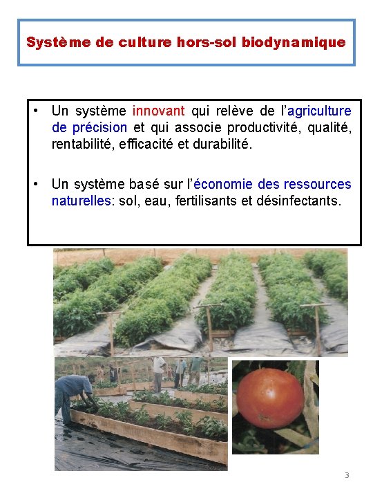 Système de culture hors-sol biodynamique • Un système innovant qui relève de l’agriculture de