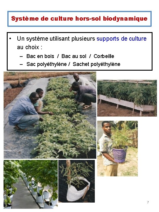 Système de culture hors-sol biodynamique • Un système utilisant plusieurs supports de culture au