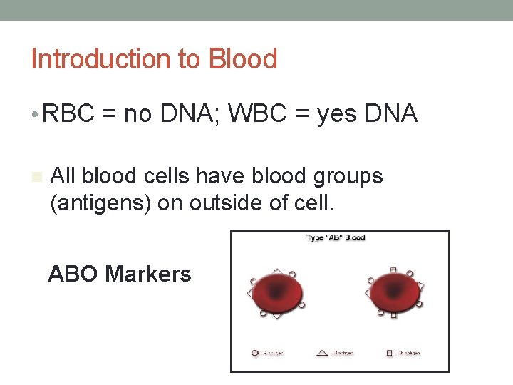 Introduction to Blood • RBC = no DNA; WBC = yes DNA n All
