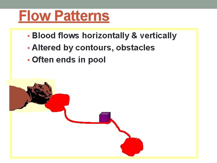 Flow Patterns • Blood flows horizontally & vertically • Altered by contours, obstacles •