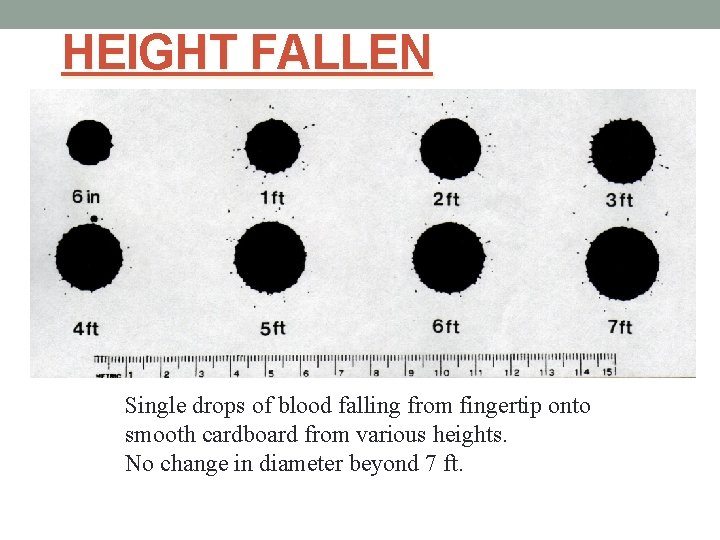 HEIGHT FALLEN Single drops of blood falling from fingertip onto smooth cardboard from various