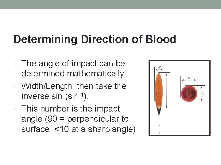 Determining Direction of Blood § § § The angle of impact can be determined