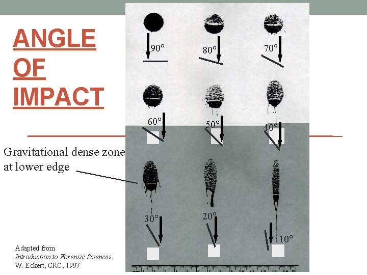 ANGLE OF IMPACT 90 60 80 50 70 40 Gravitational dense zone at lower