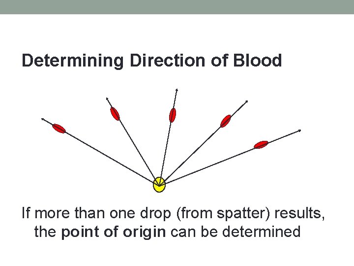 Determining Direction of Blood If more than one drop (from spatter) results, the point