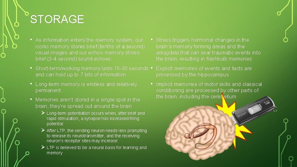 STORAGE • As information enters the memory system, our iconic memory stores brief (tenths