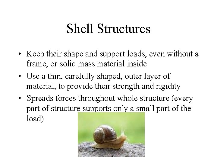 Shell Structures • Keep their shape and support loads, even without a frame, or