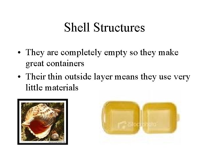 Shell Structures • They are completely empty so they make great containers • Their