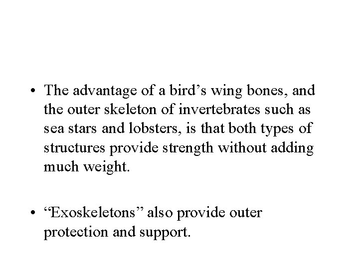  • The advantage of a bird’s wing bones, and the outer skeleton of