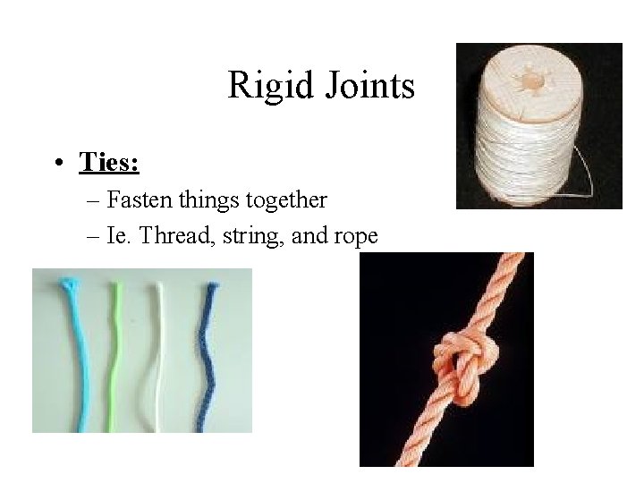 Rigid Joints • Ties: – Fasten things together – Ie. Thread, string, and rope