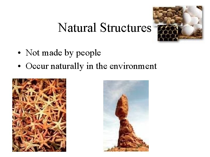 Natural Structures • Not made by people • Occur naturally in the environment 