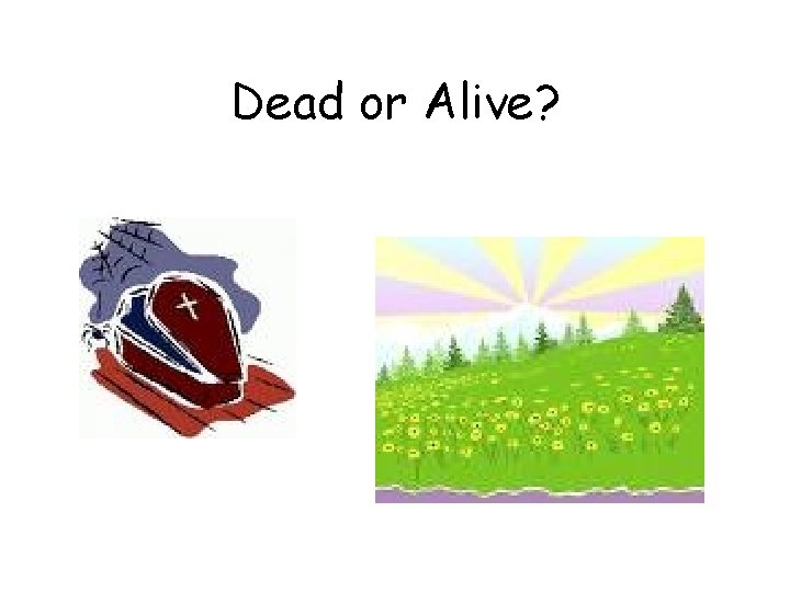 Dead or Alive? 