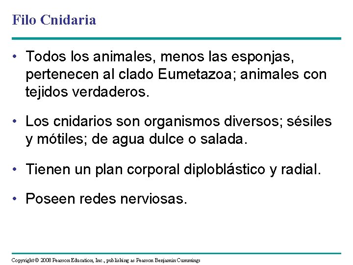 Filo Cnidaria • Todos los animales, menos las esponjas, pertenecen al clado Eumetazoa; animales