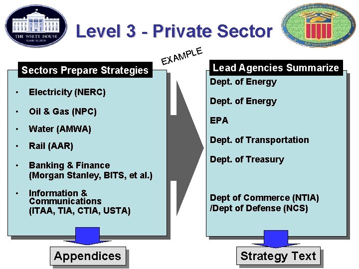 Level 3 - Private Sector E Sectors Prepare Strategies E PL XAM Lead Agencies