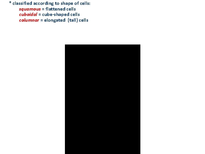 * classified according to shape of cells: squamous = flattened cells cuboidal = cube-shaped