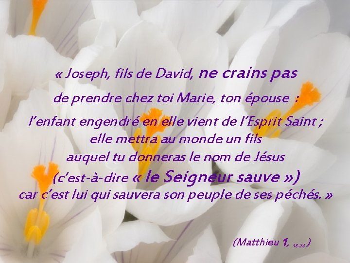  « Joseph, fils de David, ne crains pas de prendre chez toi Marie,