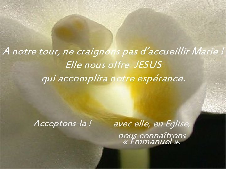 A notre tour, ne craignons pas d’accueillir Marie ! Elle nous offre JESUS qui