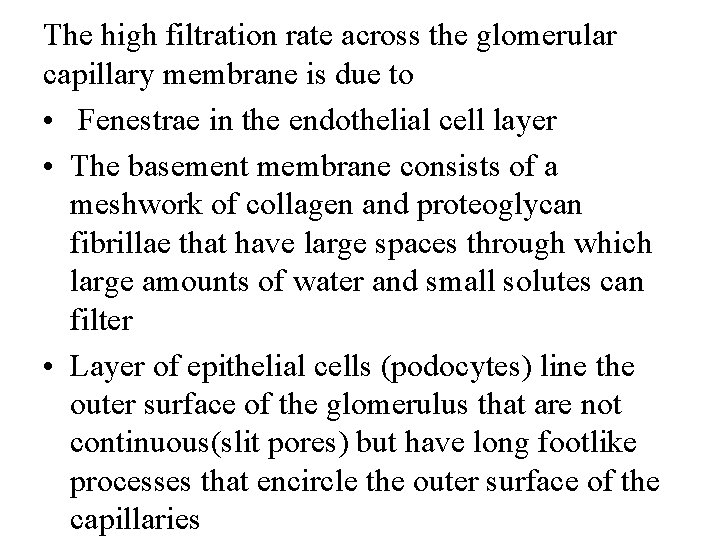 The high filtration rate across the glomerular capillary membrane is due to • Fenestrae