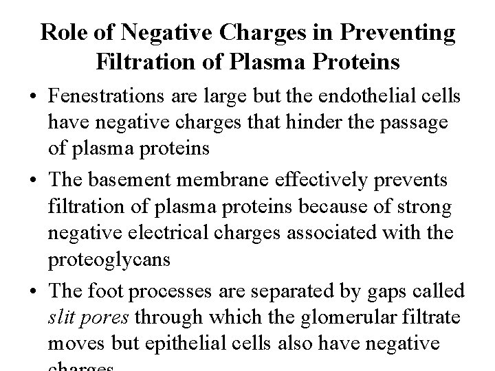 Role of Negative Charges in Preventing Filtration of Plasma Proteins • Fenestrations are large