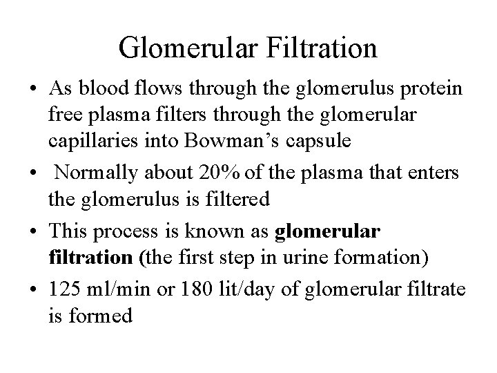 Glomerular Filtration • As blood flows through the glomerulus protein free plasma filters through