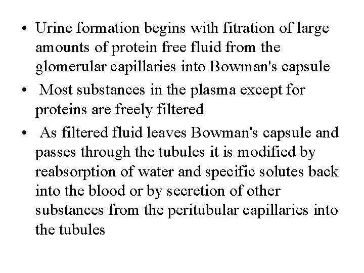  • Urine formation begins with fitration of large amounts of protein free fluid