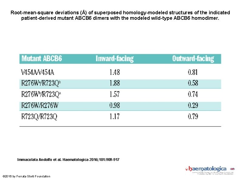 Root-mean-square deviations (Å) of superposed homology-modeled structures of the indicated patient-derived mutant ABCB 6