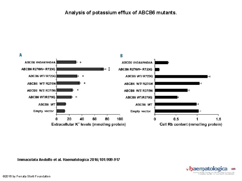 Analysis of potassium efflux of ABCB 6 mutants. Immacolata Andolfo et al. Haematologica 2016;