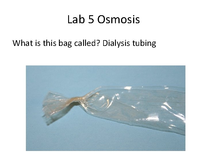 Lab 5 Osmosis What is this bag called? Dialysis tubing 