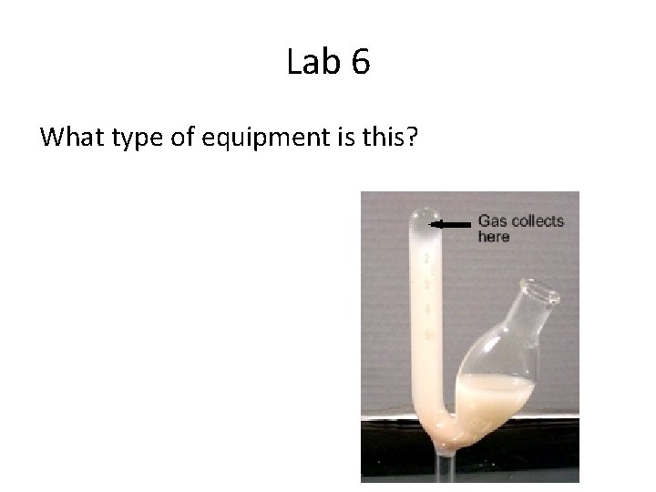 Lab 6 What type of equipment is this? 