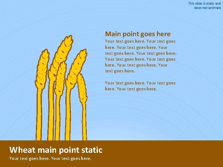 This slide is static and does not animate. Main point goes here Your text