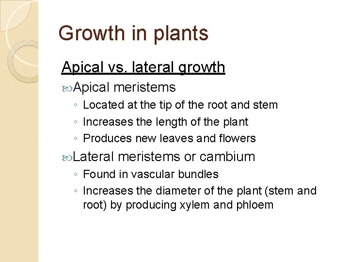 Growth in plants Apical vs. lateral growth Apical meristems ◦ Located at the tip