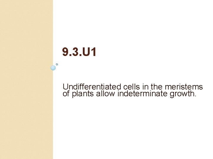 9. 3. U 1 Undifferentiated cells in the meristems of plants allow indeterminate growth.