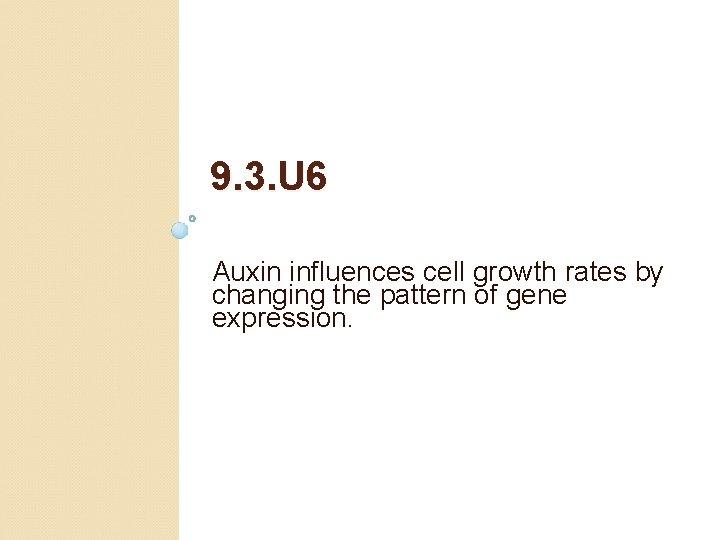 9. 3. U 6 Auxin influences cell growth rates by changing the pattern of