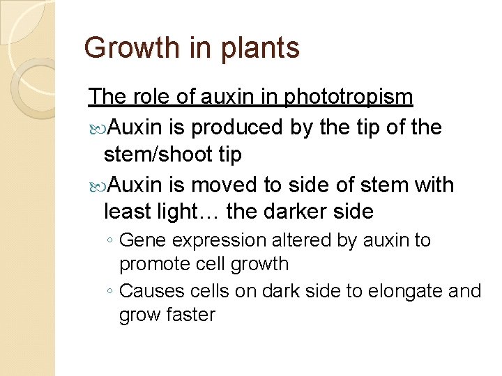 Growth in plants The role of auxin in phototropism Auxin is produced by the