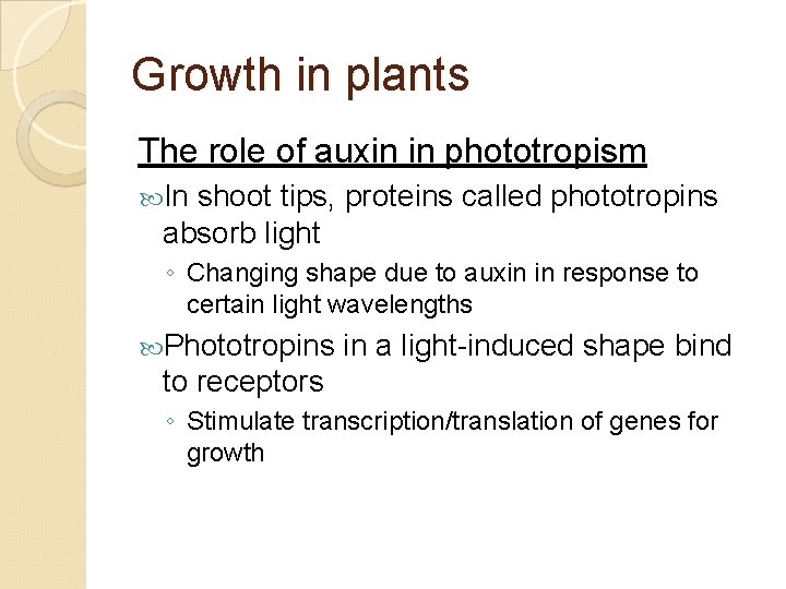 Growth in plants The role of auxin in phototropism In shoot tips, proteins called