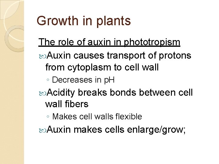 Growth in plants The role of auxin in phototropism Auxin causes transport of protons