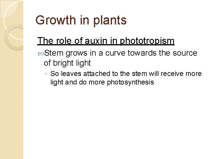 Growth in plants The role of auxin in phototropism Stem grows in a curve