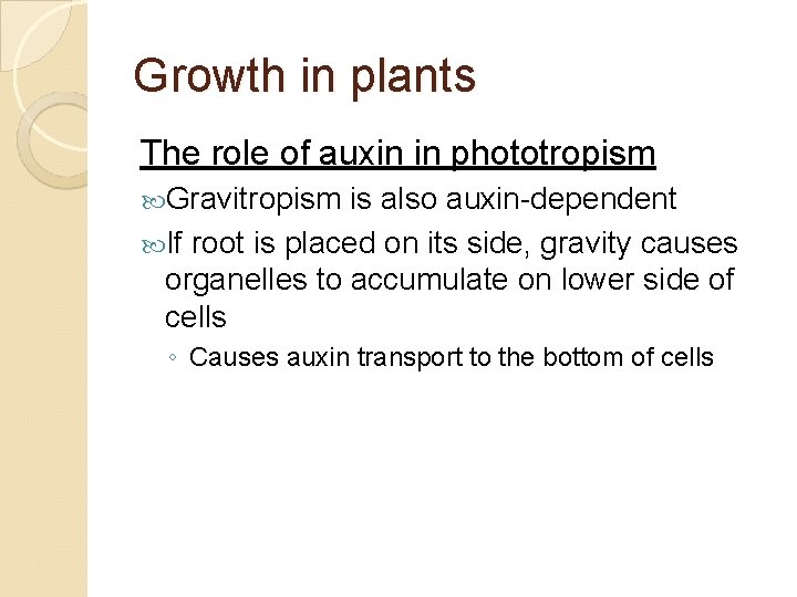 Growth in plants The role of auxin in phototropism Gravitropism is also auxin-dependent If
