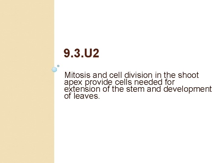 9. 3. U 2 Mitosis and cell division in the shoot apex provide cells