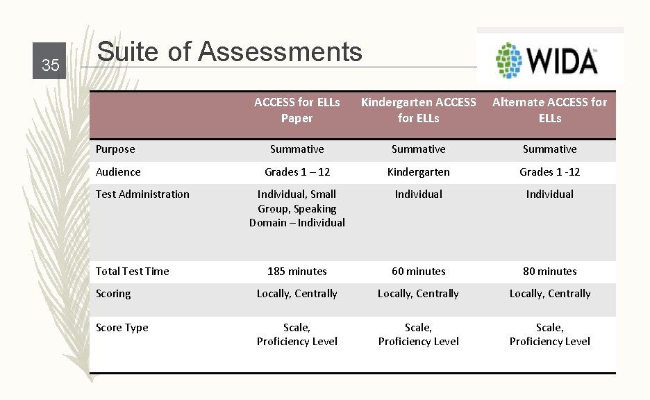 35 Suite of Assessments ACCESS for ELLs Paper Kindergarten ACCESS for ELLs Alternate ACCESS