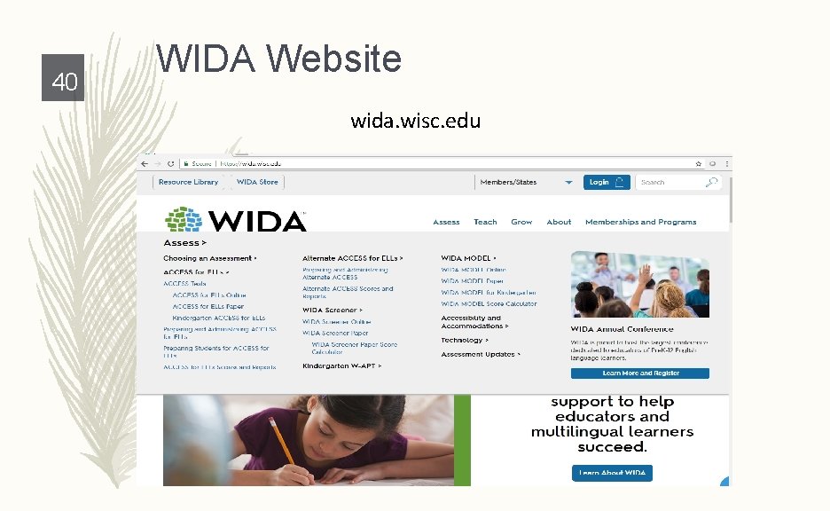 40 WIDA Website wida. wisc. edu 