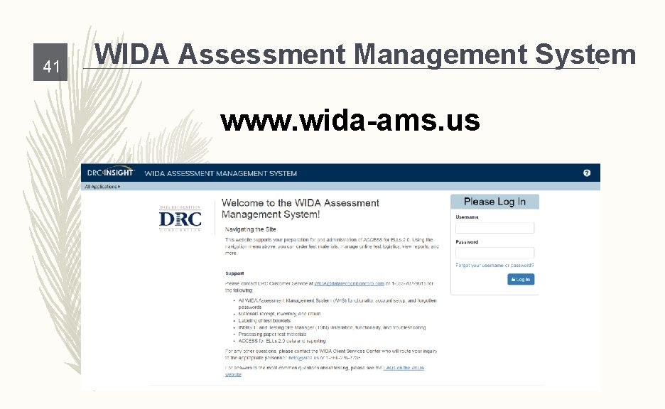 41 WIDA Assessment Management System www. wida-ams. us 