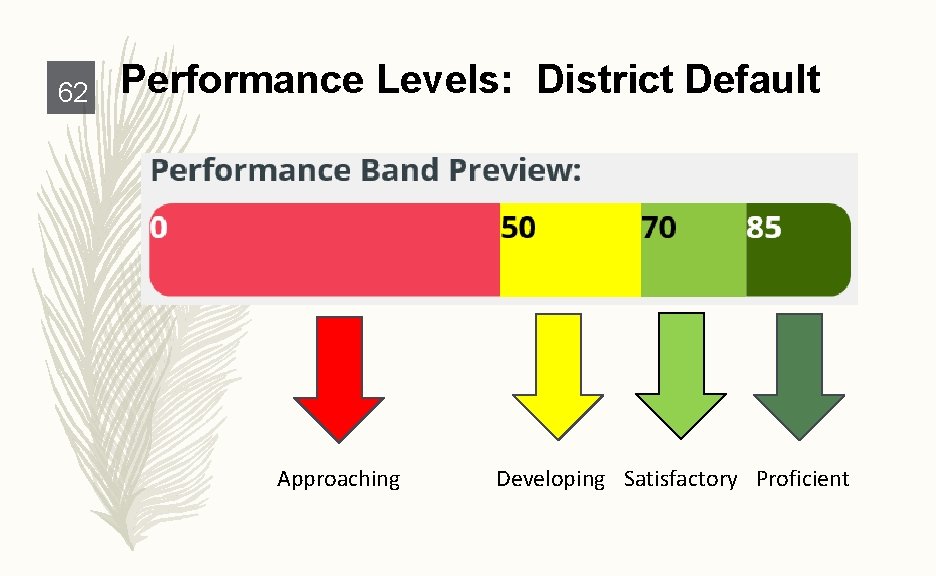 62 Performance Levels: District Default Approaching Developing Satisfactory Proficient 