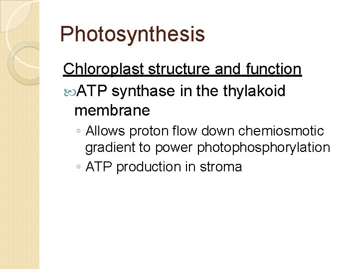 Photosynthesis Chloroplast structure and function ATP synthase in the thylakoid membrane ◦ Allows proton