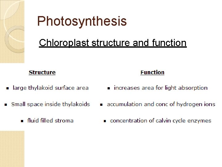 Photosynthesis Chloroplast structure and function 