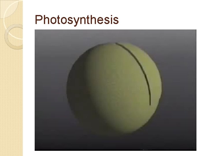 Photosynthesis 